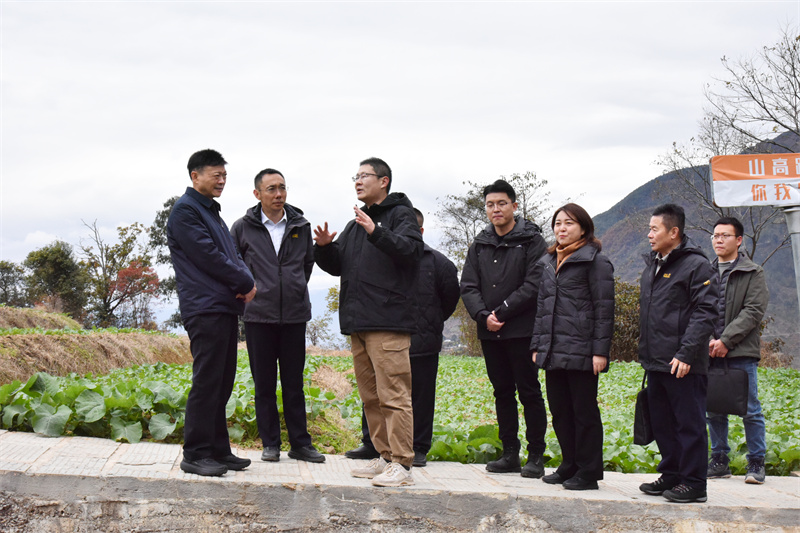 1733967001974024.jpg DSC_0187 拷贝.jpg